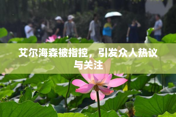 艾尔海森被指控，引发众人热议与关注