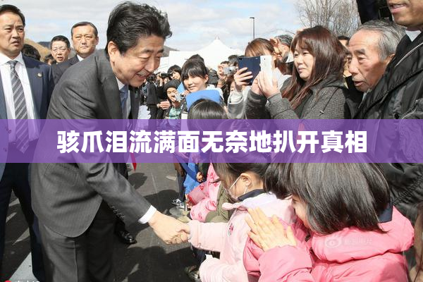 骇爪泪流满面无奈地扒开真相