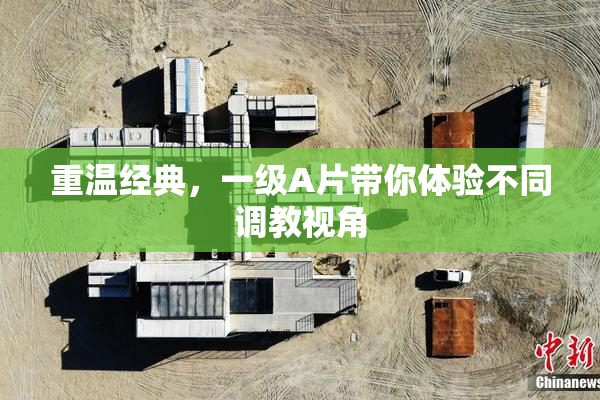 重温经典，一级A片带你体验不同调教视角