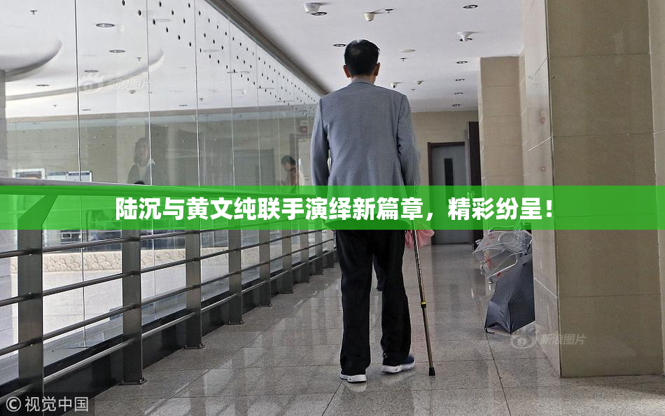 陆沉与黄文纯联手演绎新篇章，精彩纷呈！