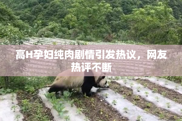 高H孕妇纯肉剧情引发热议，网友热评不断