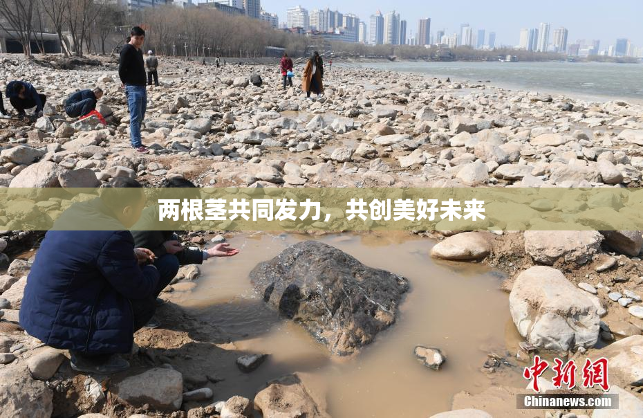 两根茎共同发力，共创美好未来