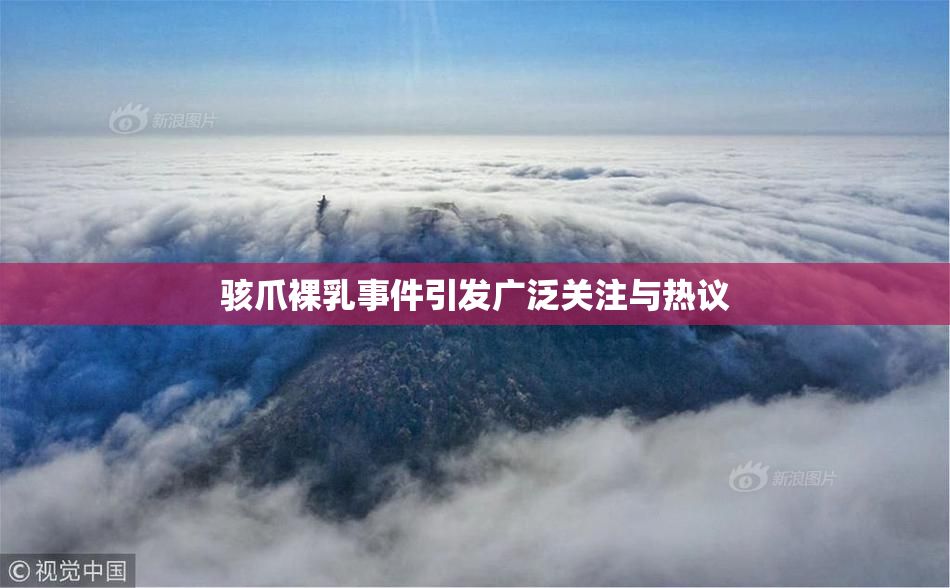 骇爪裸乳事件引发广泛关注与热议