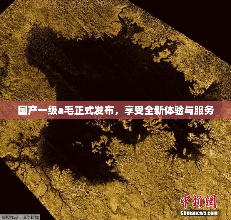 国产一级a毛正式发布，享受全新体验与服务