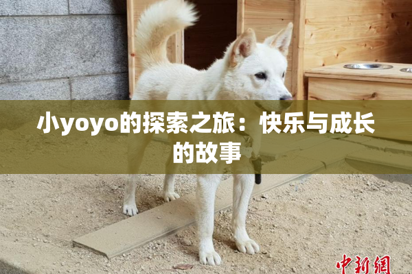 小yoyo的探索之旅：快乐与成长的故事