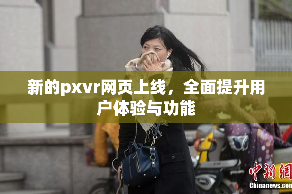 新的pxvr网页上线，全面提升用户体验与功能