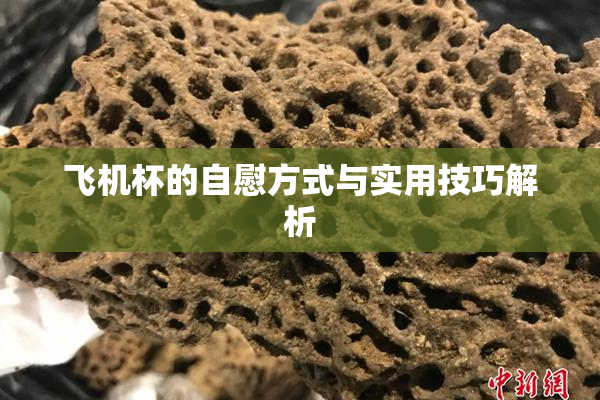 飞机杯的自慰方式与实用技巧解析