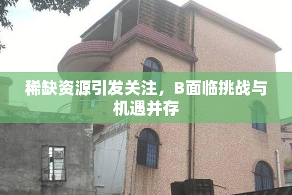 稀缺资源引发关注，B面临挑战与机遇并存