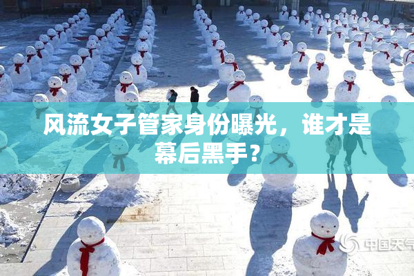 风流女子管家身份曝光，谁才是幕后黑手？