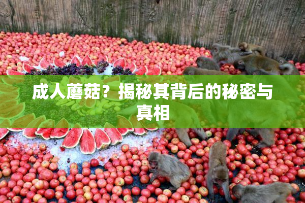 成人蘑菇？揭秘其背后的秘密与真相