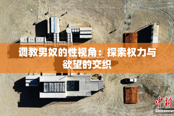 调教男奴的性视角：探索权力与欲望的交织