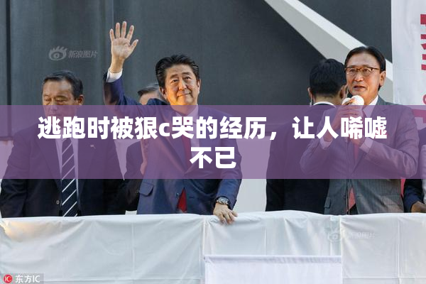 逃跑时被狠c哭的经历，让人唏嘘不已