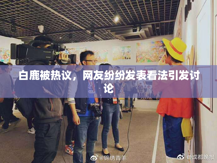 白鹿被热议，网友纷纷发表看法引发讨论