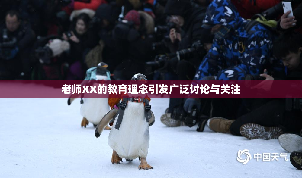 老师XX的教育理念引发广泛讨论与关注