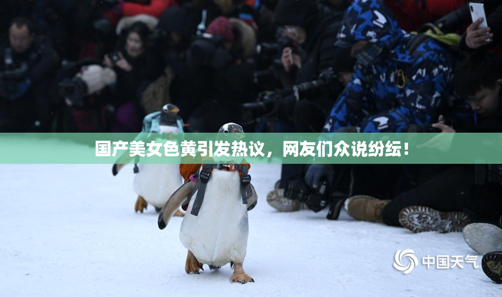国产美女色黄引发热议，网友们众说纷纭！