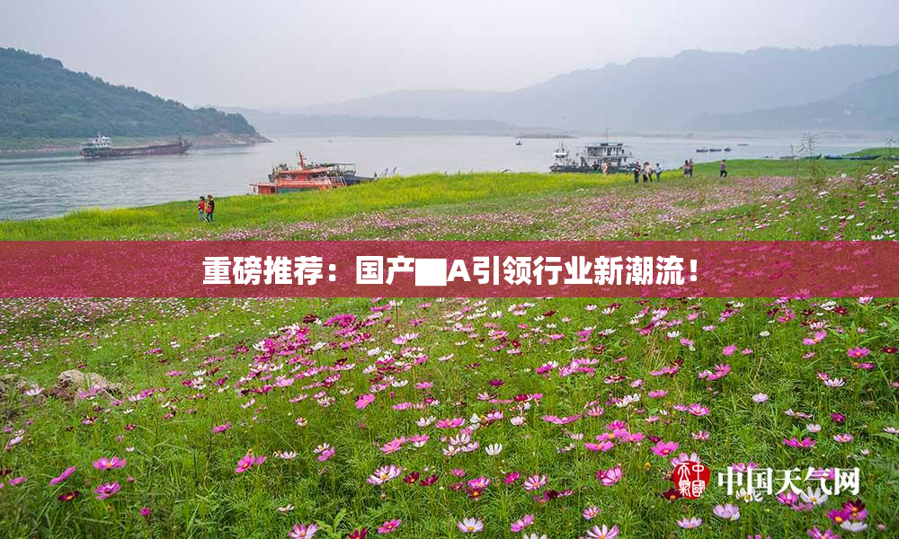 重磅推荐：国产▇A引领行业新潮流！