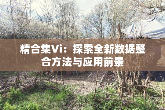 精合集Vi：探索全新数据整合方法与应用前景
