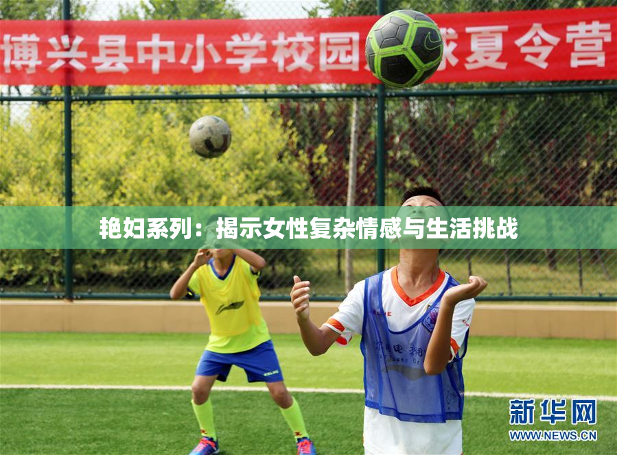 艳妇系列：揭示女性复杂情感与生活挑战