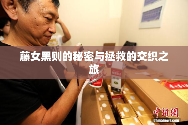 藤女黑则的秘密与拯救的交织之旅