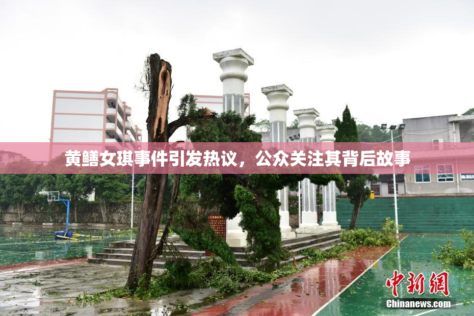 黄鳝女琪事件引发热议，公众关注其背后故事