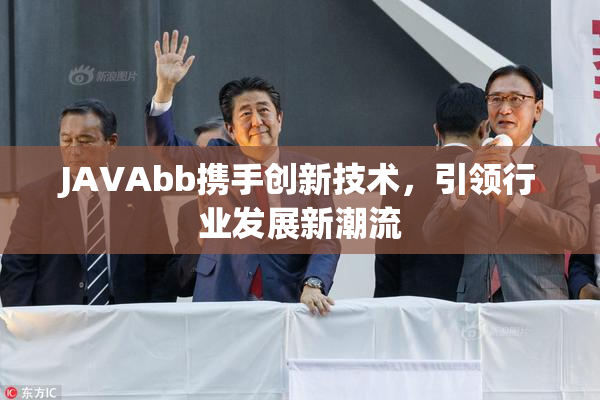 JAVAbb携手创新技术，引领行业发展新潮流