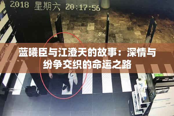 蓝曦臣与江澄天的故事：深情与纷争交织的命运之路