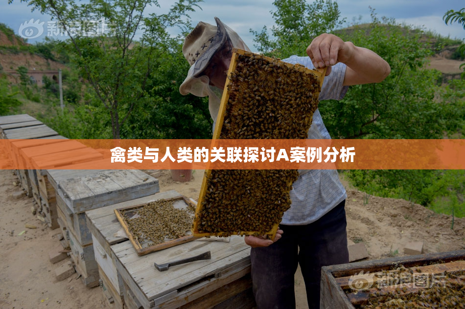 禽类与人类的关联探讨A案例分析