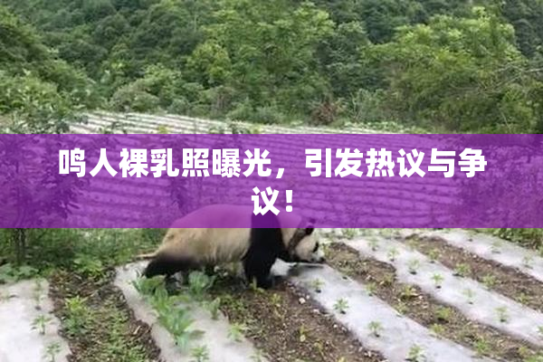 鸣人裸乳照曝光，引发热议与争议！