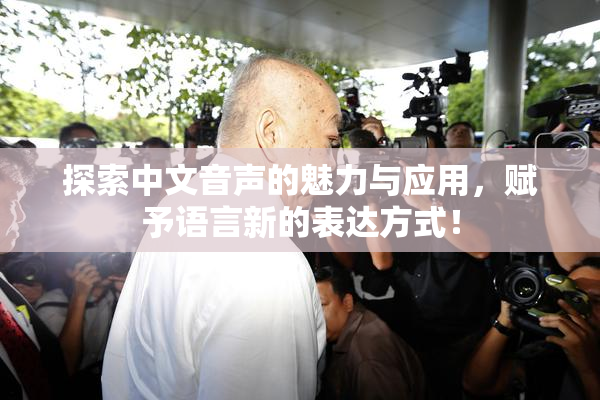 探索中文音声的魅力与应用，赋予语言新的表达方式！