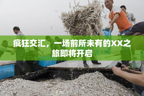 疯狂交汇，一场前所未有的XX之旅即将开启