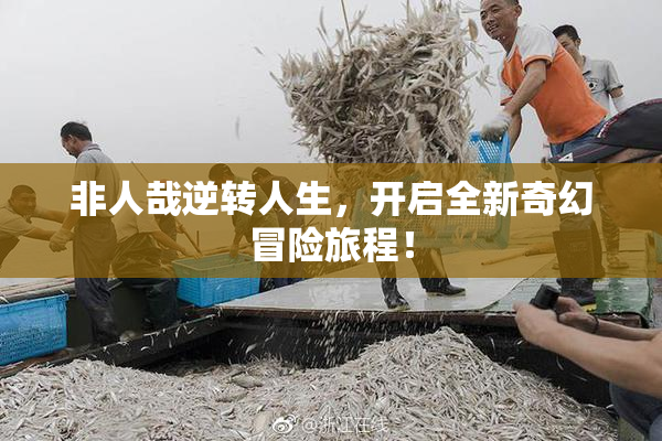 非人哉逆转人生，开启全新奇幻冒险旅程！