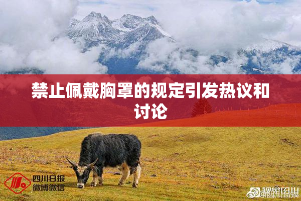 禁止佩戴胸罩的规定引发热议和讨论