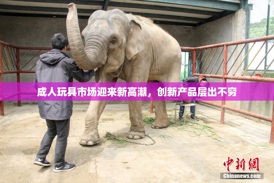 成人玩具市场迎来新高潮，创新产品层出不穷