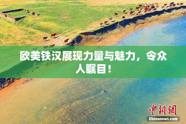 欧美铁汉展现力量与魅力，令众人瞩目！