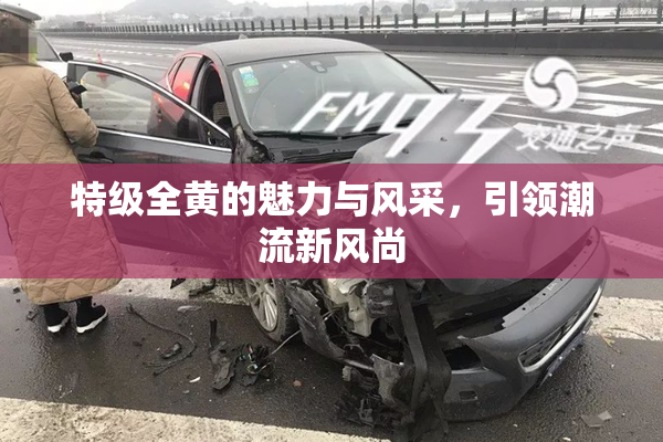 特级全黄的魅力与风采，引领潮流新风尚