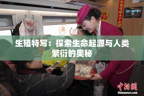 生殖特写：探索生命起源与人类繁衍的奥秘