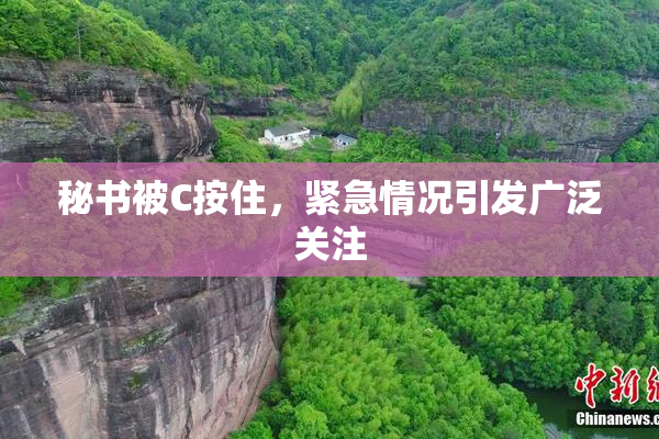秘书被C按住，紧急情况引发广泛关注