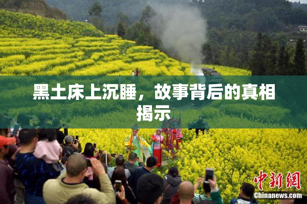 黑土床上沉睡，故事背后的真相揭示