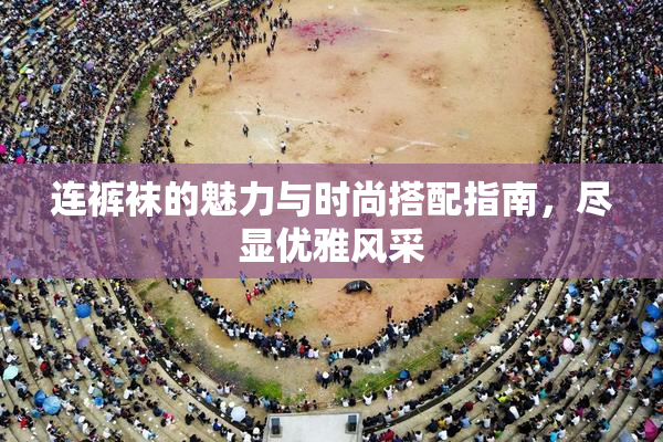 连裤袜的魅力与时尚搭配指南，尽显优雅风采