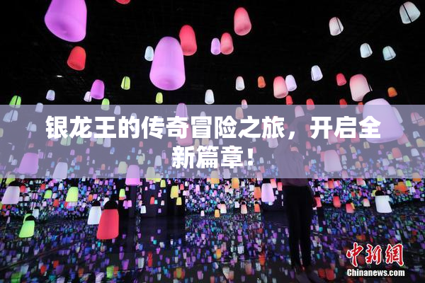 银龙王的传奇冒险之旅，开启全新篇章！
