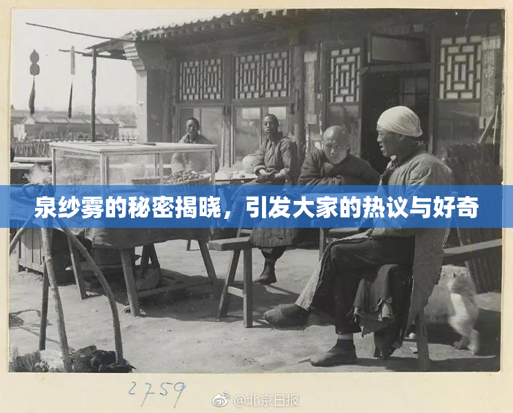 泉纱雾的秘密揭晓，引发大家的热议与好奇