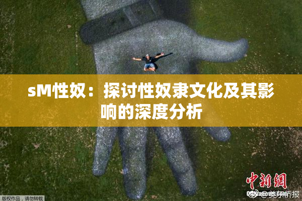 sM性奴：探讨性奴隶文化及其影响的深度分析