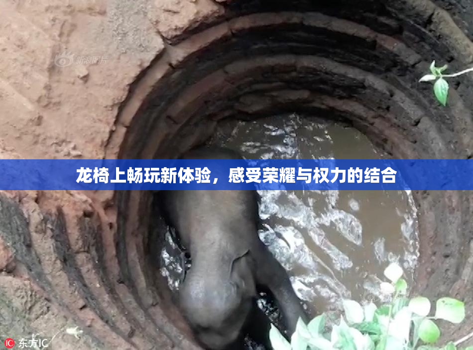 龙椅上畅玩新体验，感受荣耀与权力的结合