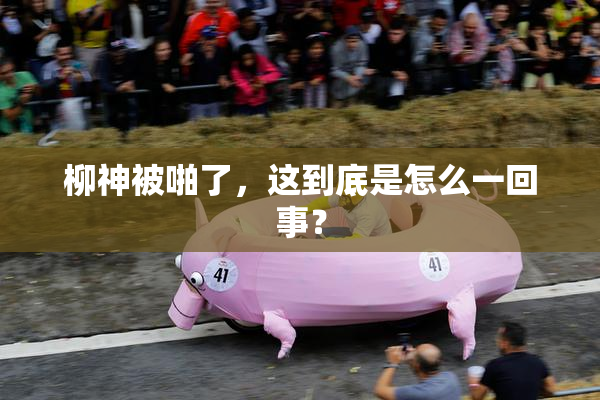 柳神被啪了，这到底是怎么一回事？