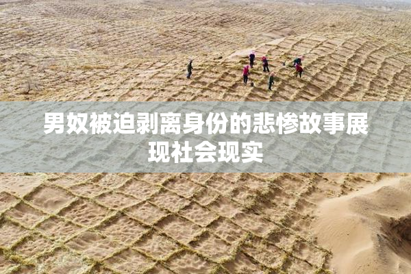 男奴被迫剥离身份的悲惨故事展现社会现实