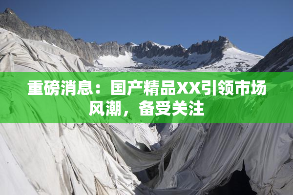重磅消息：国产精品XX引领市场风潮，备受关注