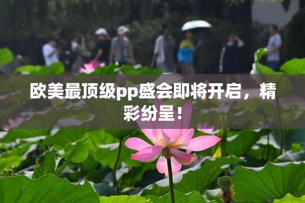 欧美最顶级pp盛会即将开启，精彩纷呈！