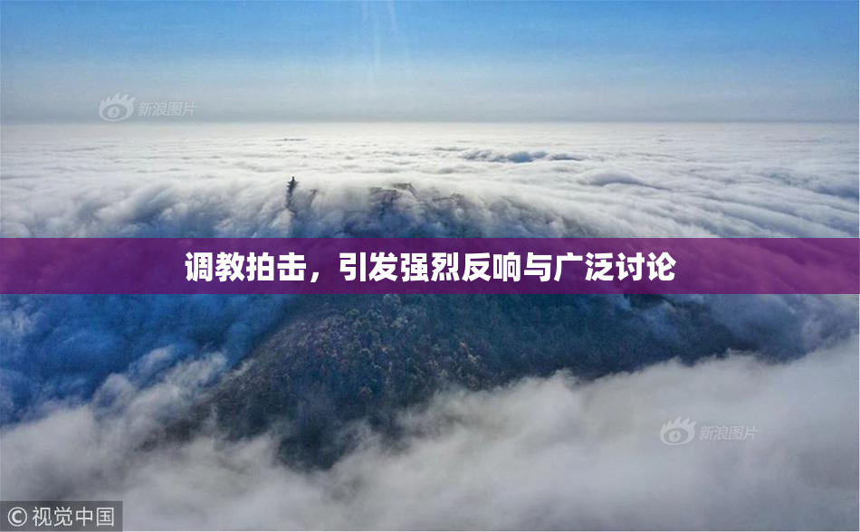调教拍击，引发强烈反响与广泛讨论