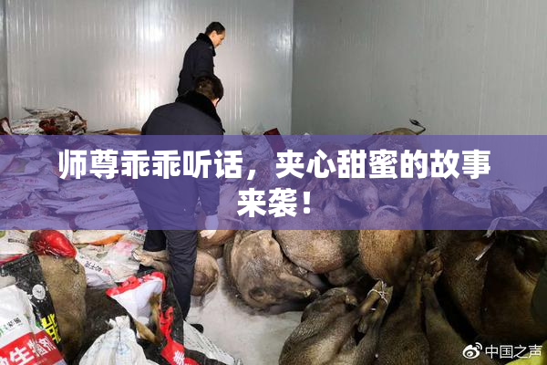 师尊乖乖听话，夹心甜蜜的故事来袭！