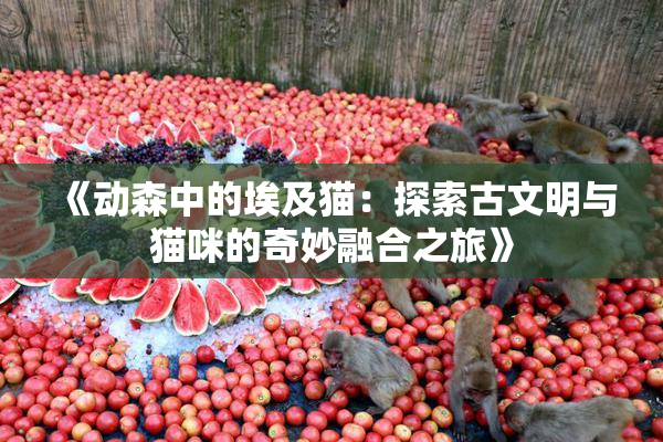 《动森中的埃及猫：探索古文明与猫咪的奇妙融合之旅》